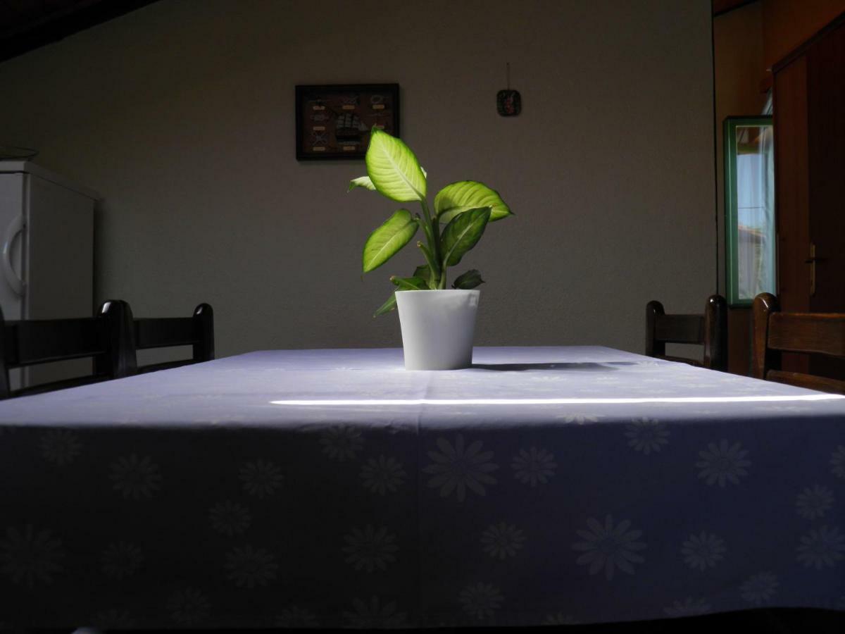 Apartman Mia Biograd Biograd Na Moru Exteriér fotografie